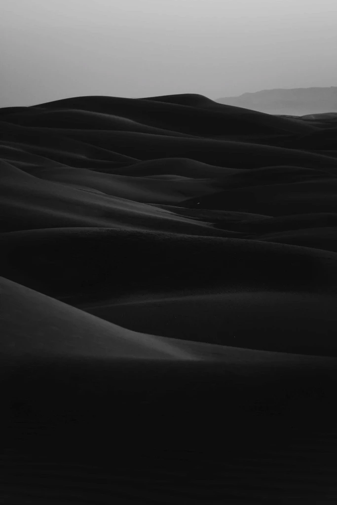 Creating A Portable Dynamic Gallery With Web Components